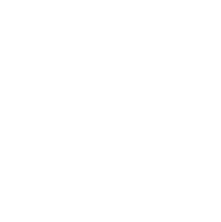 Logo Reine Boutron école de danse Aix les bains